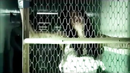 làm tình với clip sexy hoang thuy linh hai cô gái đức nóng