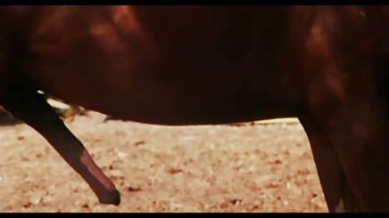 Titterama # 1 sexy vietsub